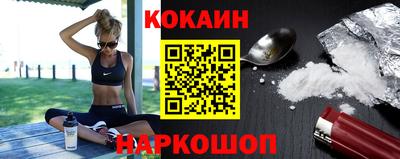 крисы Шебекино