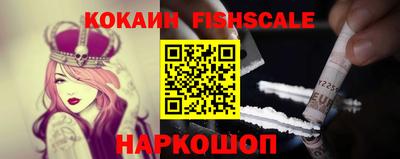 крисы Шебекино