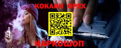 крисы Шебекино