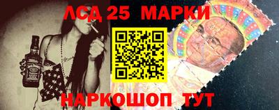 крисы Шебекино