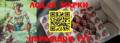 крисы Шебекино
