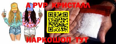 крисы Шебекино