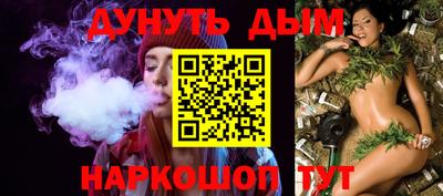 крисы Шебекино