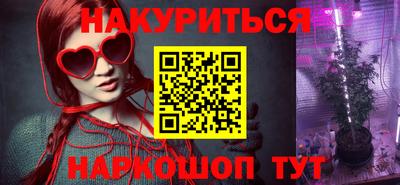 крисы Шебекино