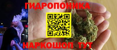 дживик Шелехов