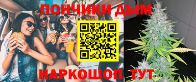 крисы Шебекино